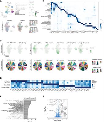 Treatment-associated remodeling of the pancreatic cancer endothelium at single-cell resolution